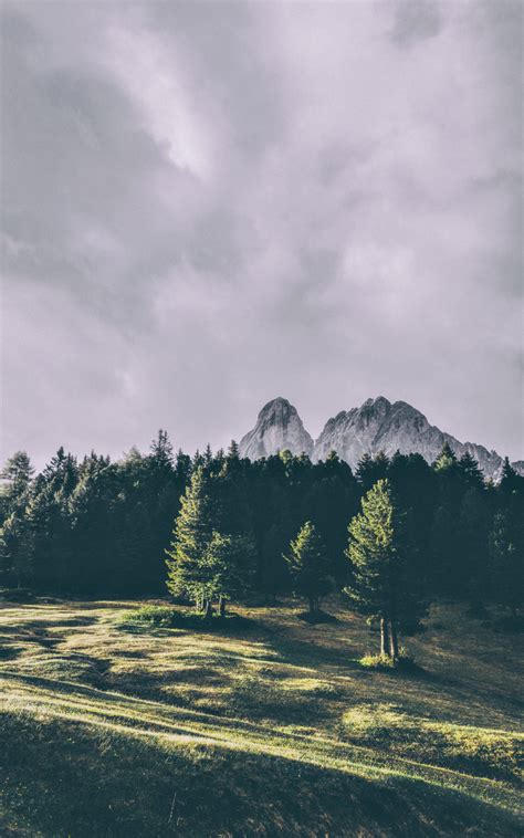 Download Wallpaper 800x1280 Mountains Trees Peitlerkofel Dolomites