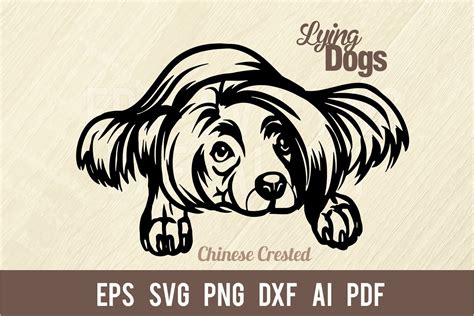 Chinese Crested Lying Dog Svg Stencil Graphic By Signreadydclipart