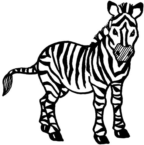 Zebra Coloring Pages For Kids Photos Animal Place