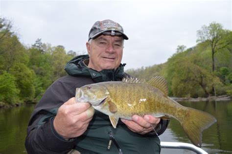 Smallmouth Bass Fly Fishing Guides North Carolina Tuckasegee River