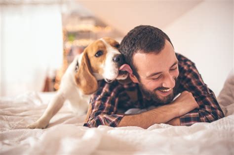 How Mans Best Friend Can Help You Build Better Relationships
