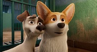 Movie Review: The Queen's Corgi - Sequential Planet