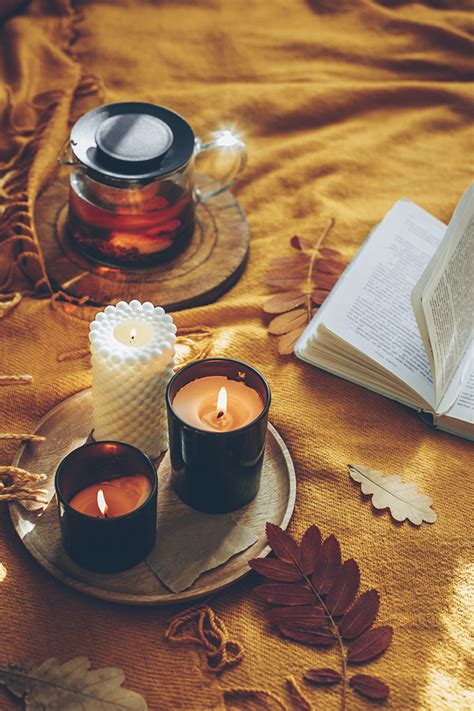 Cozy Autumn Books For Adults Some The Wiser