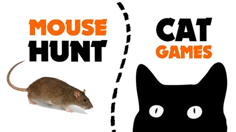 Games For Cat Mouse Hunt On Screen 1 Hour Youtube