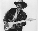 Lonnie Brooks, legend of Chicago blues, dead at 83 - cleveland.com