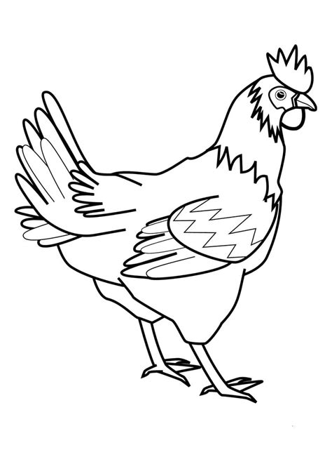 Download now mewarnai gambar ayam bertelur belajarmewarnai info. Gambar Kartun Ayam Hitam Putih - Gambar Kartun