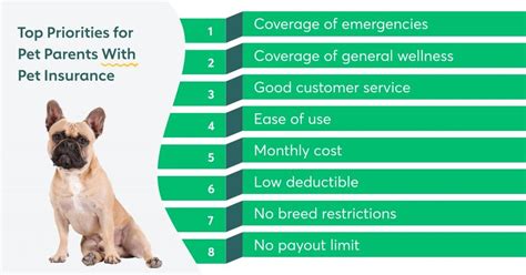 The Best Pet Insurance Review 2022 A Pet Parents Guide Pet Care Stores