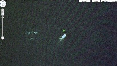 Developed by google, the program is accessible on android, apple mac, google chrome, ios, linux, and microsoft windows devices. Has Google Earth captured image of Loch Ness Monster ...