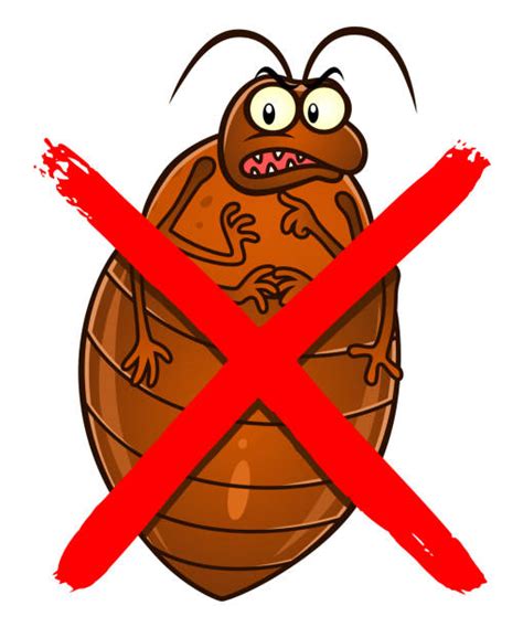Cartoon Of Bed Bugs Illustrations Royalty Free Vector Graphics And Clip