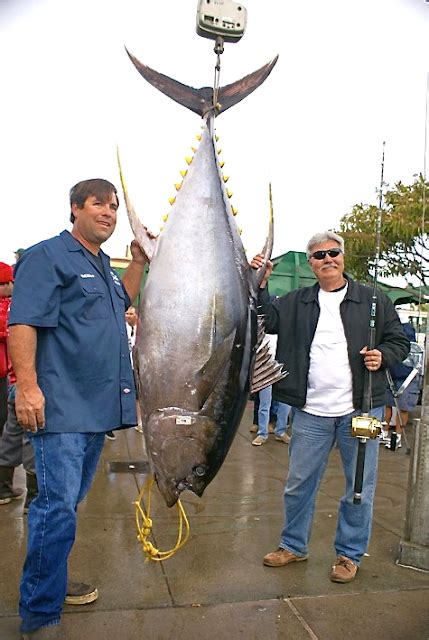 Pisces Fleet Sportfishing Blog New All Tackle World Record Tuna