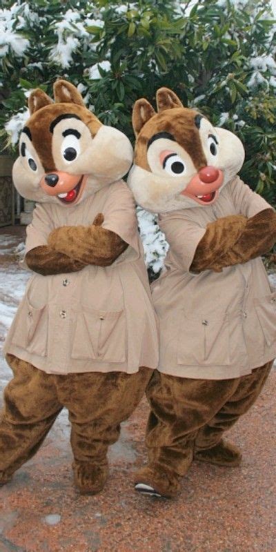 Pin By Rebecca Low On Disney Chip And Dale Costumes Chip And Dale