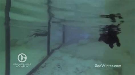 cooper having some underwater fun youtube
