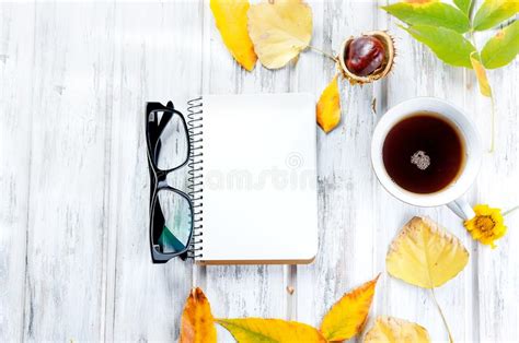 Autumn Still Life With Cup Of Tea And Leaves Stock Photo Image Of