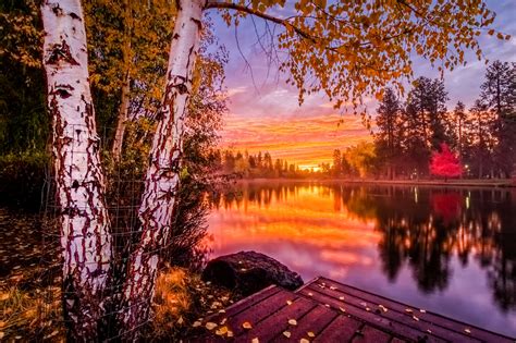 壁纸 阳光 树木 景观 森林 秋季 日落 湖 水 性质 反射 天空 云彩 科 日出 晚间 早上 镜子