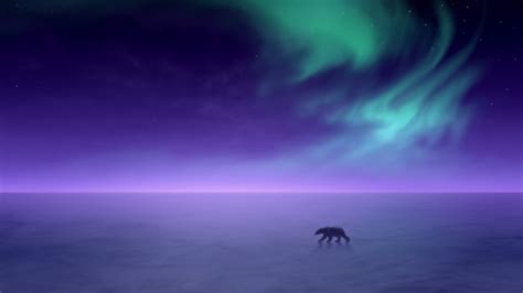 Polar Bear 2560x1440 Aurora Borealis Northern Lights Hd 4504 Wall Paper