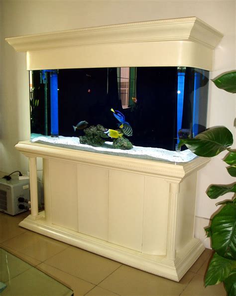 Have A Large Salt Water Fish Tank Home Aquarium Fish Glass Fish
