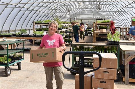 Prairie Nursery Grows Important Native Plants In Its Ati Greenhouses