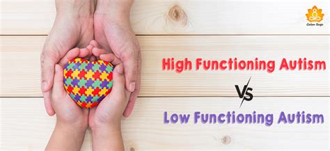Differences Between High And Low Functioning Autism