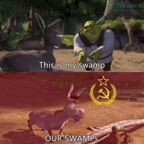 Donkey Shrek Funny Memes