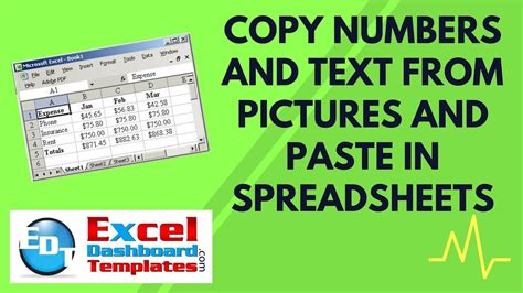 Copy Numbers And Text From Pictures And Paste In Excel Spreadsheets