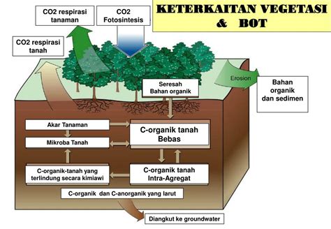 Ppt Manajemen Kesuburan Tanah Bahan Organik Tanah Prod Dr Ir Soemarno