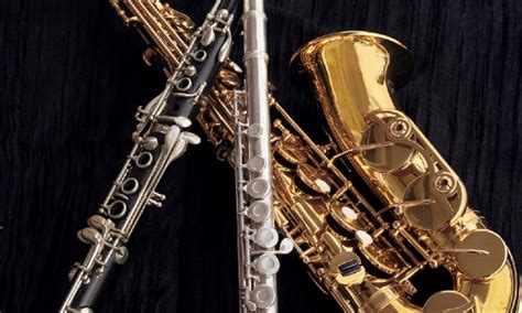 Top 3 Woodwind Instruments For Beginners