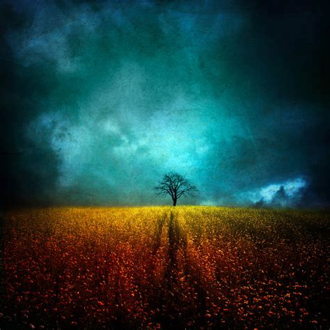 Previous ones, for a higher level of security clearance should i be worried? 5 Stages of Depression: Like Grief, Only Different | The ...