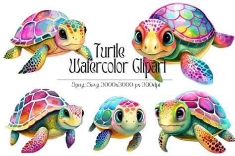 Turtles Watercolor Clipart Graphic By Line Store · Creative Fabrica