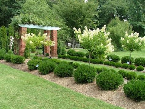Pin By Alex Goldstone On Landscaping Shrubs For Landscaping