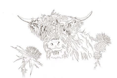 Printable Highland Cow Template