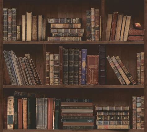 Library Book Bookshelves Antique Bookcase Self Adhesive Peel Stick