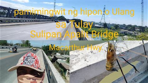 Pamimingwit Ng Hipon O Ulang Sa Taas Ng Tulay Sulipan Apalit Bridge