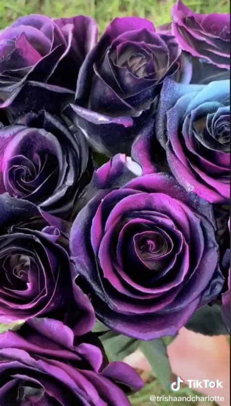 Heres How You Can Make Your Own Galaxy Roses Galaxy Flowers Purple