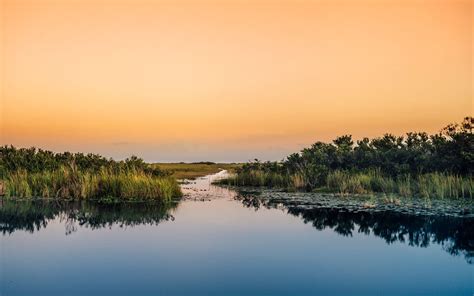 Plan Your Trip To Everglades National Park Miami And Miami Beach