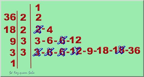 Determine Os Divisores De 11