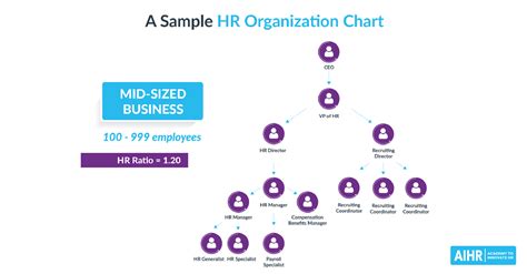 Human Resource Organizational Chart And Hr Organizational Chart Porn