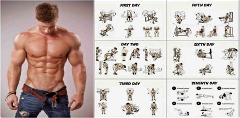 Weight Training Programs To Build Muscle And Gain Weight Project Next