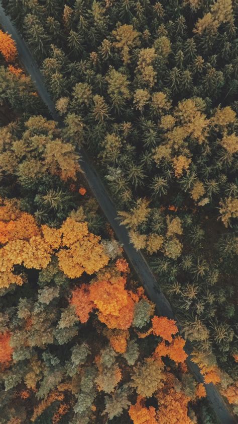 8 Free Autumn Inspired Iphone 7 Plus Wallpapers Preppy