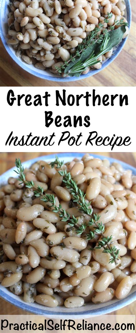 All recipes tried and true. Instant Pot Great Northern Beans