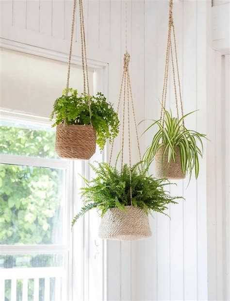 Incredible Hanging House Plant Types Ideas
