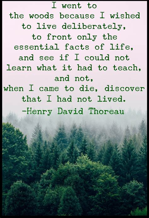 Henry David Thoreau Quotes I Went To The Woods For A Lot Bloggers