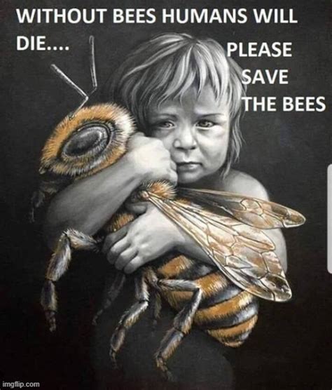 Save The Bees Imgflip