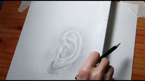 Como Dibujar Una Oreja How To Draw An Ear Youtube