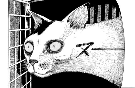 Manga Legend Junji Ito Talks Making Horror Adapting It And Cats