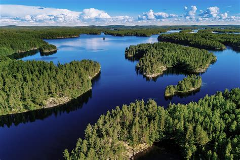 4 Reasons Why Nordic Countries Are A Great Forestry Power The Base