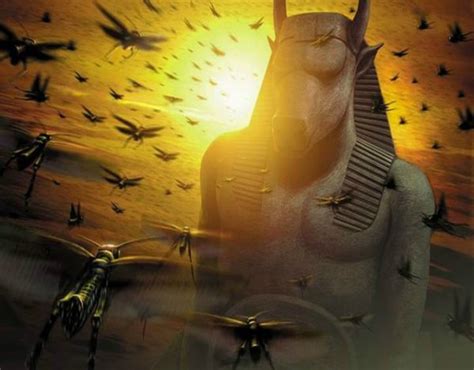 10 O 7 Plagas De Egipto Y Su Explicación