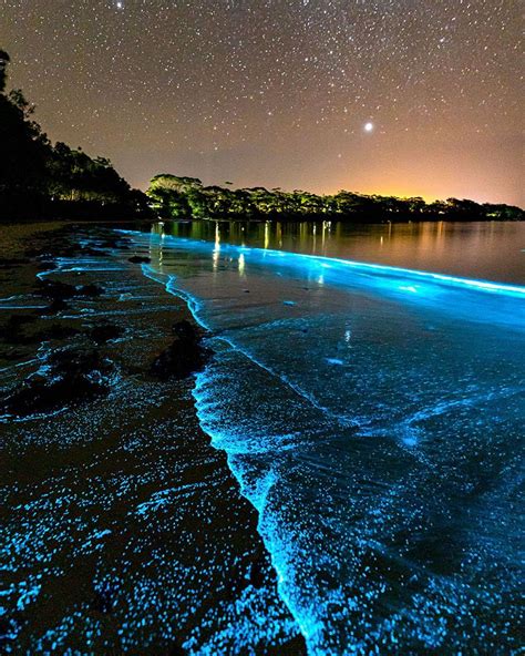 Glowing Ocean - Indepest