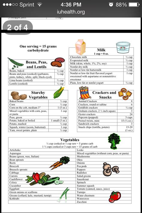 Diabetes Carb Counting Chart Printable
