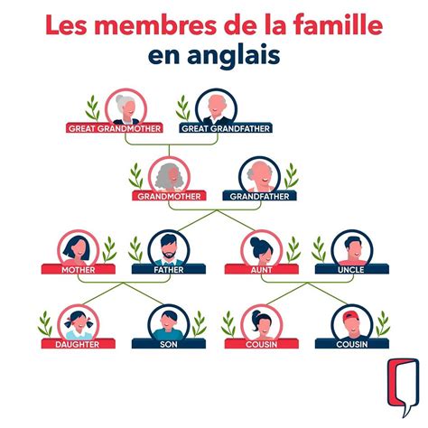 Les Membres De La Famille En Anglais Vocabulaire