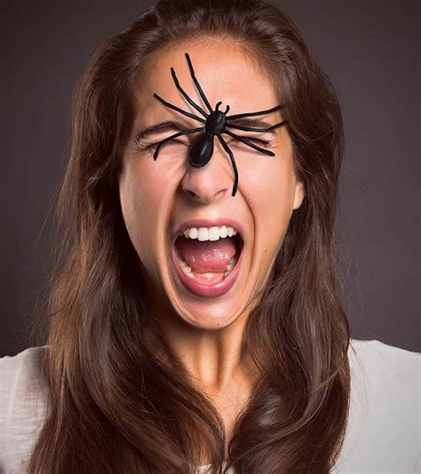 6 Effective Home Remedies For Spider Bites Diet Remedies